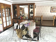 白玫瑰4.jpg