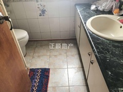白玫瑰10.jpg
