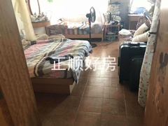 白玫瑰9.jpg