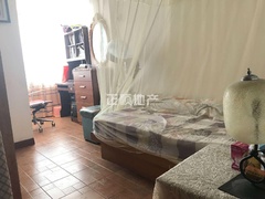 白玫瑰7.jpg