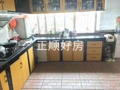 白玫瑰5.jpg