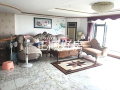 白玫瑰2.jpg