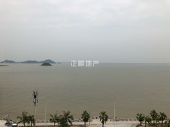 客厅