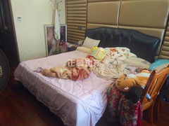 微信图片_20180930093957.jpg