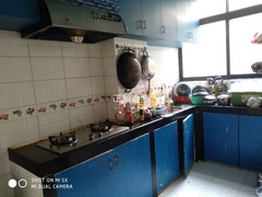 06.jpg