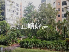 小区园林