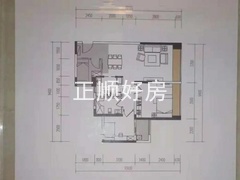 1965044107.jpg