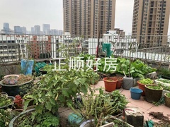 天台