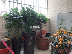 微信图片_20190313134747.jpg