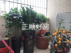 微信图片_20190313134747.jpg