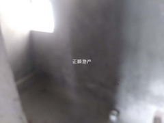 1830313554.jpg