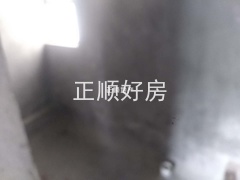 1830313554.jpg