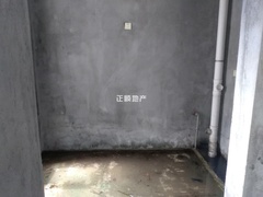 833026173.jpg