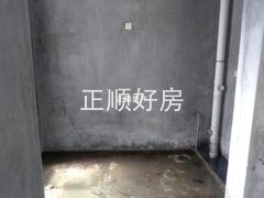 833026173.jpg