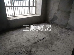 381230130.jpg