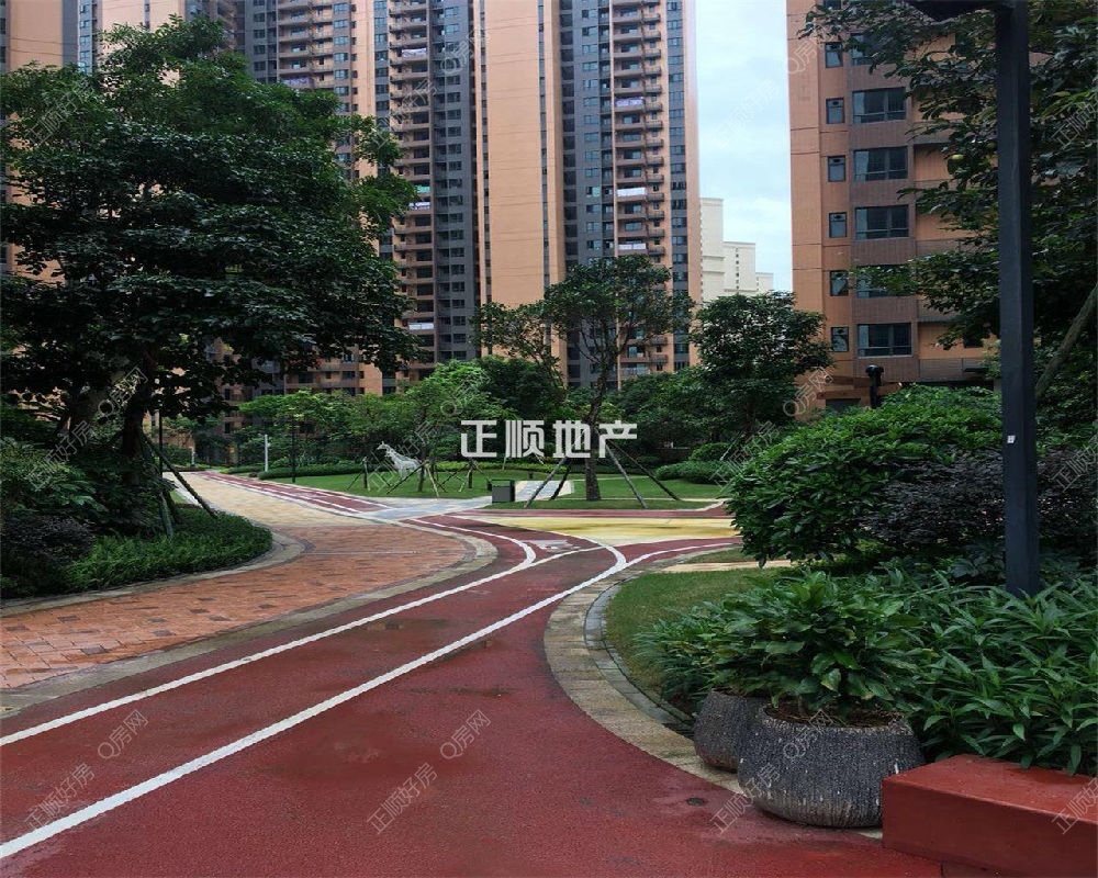实景图