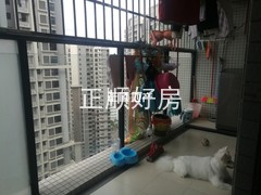 阳台