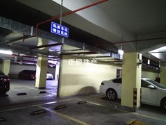 客厅
