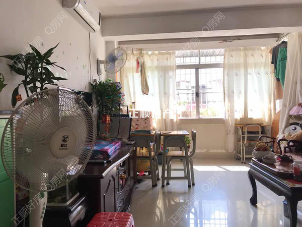 客厅
