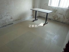 花5.jpg
