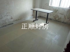 花5.jpg
