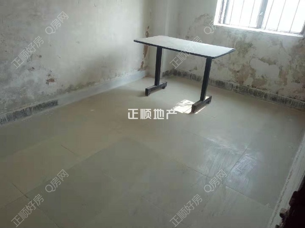 花5.jpg