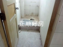 花6.jpg
