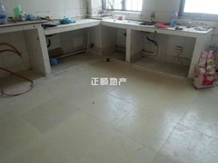 花9.jpg