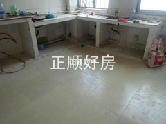 花9.jpg