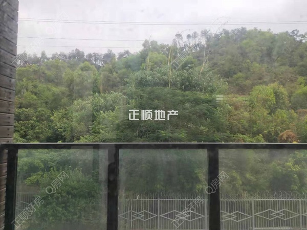 风景