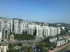 客厅