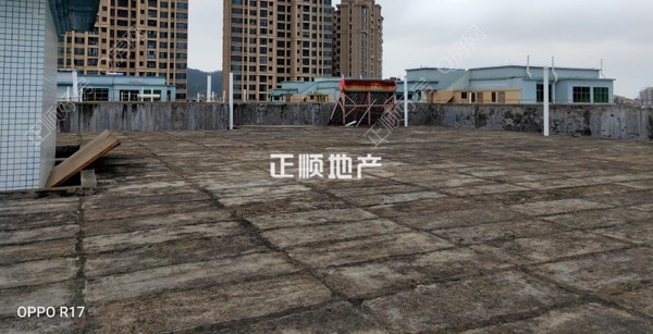客厅