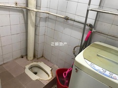 s5285A54FAC24425986A87D7E67A16BFB.jpg