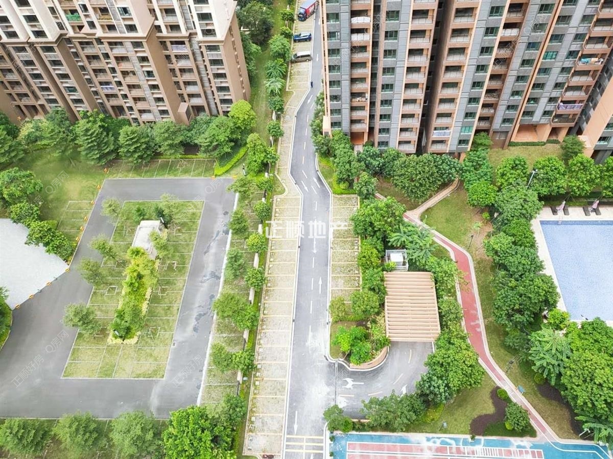 实景图