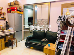 客厅