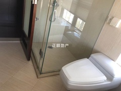 s1500036FC2CB4CBCB454245700220D92.jpg