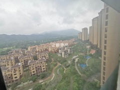 s1B416C28C82544F8BE99B59EDF3554A2.jpg