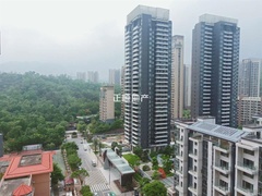 外景