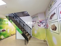 客厅