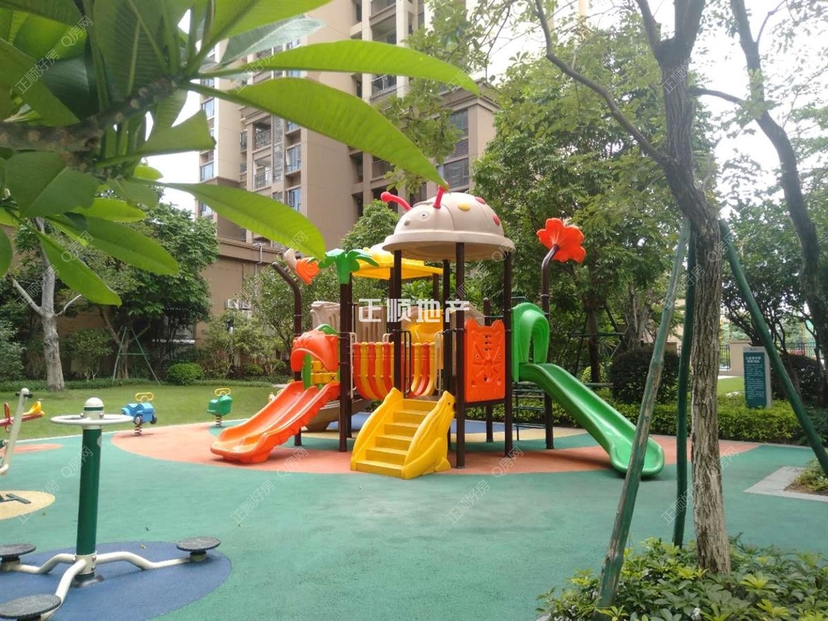 实景图