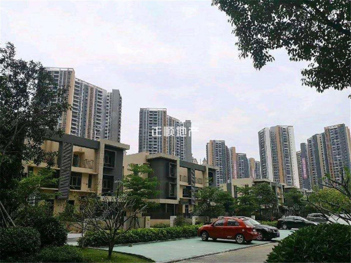 实景图