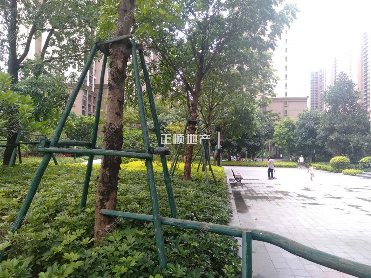 实景图