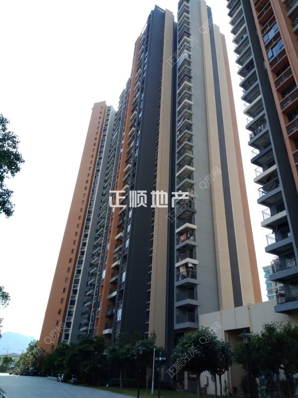 实景图