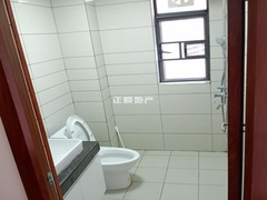 sED2B46E60BA3453491B1420C4C5B58A0.jpg