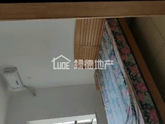 s62EF984C9DA74BC79CE25C2B2EF825D0.jpg
