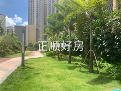 小区环境