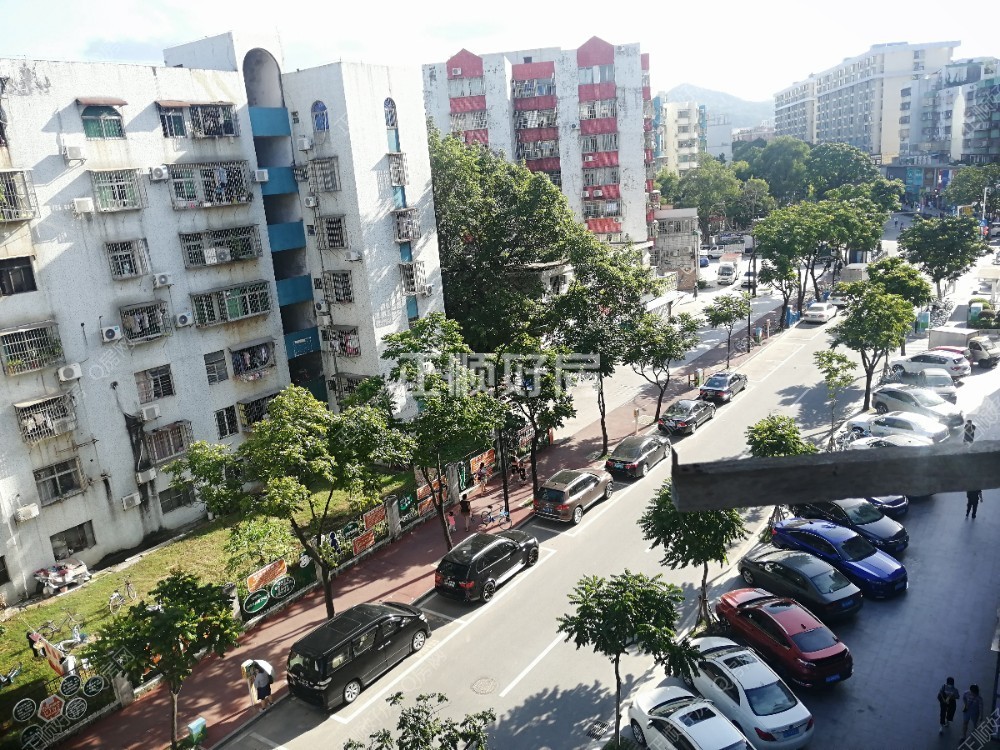 客厅