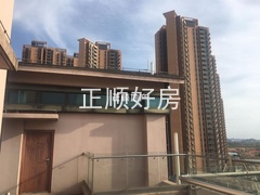 s9F85701242894C62A49C83237B9A7E64.jpg