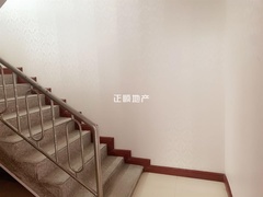 s400E49D1E54C479AB8D34411AA11B539.jpg