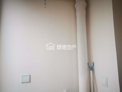 s1691581C7D124F42BEE1A6D856239D64.jpg